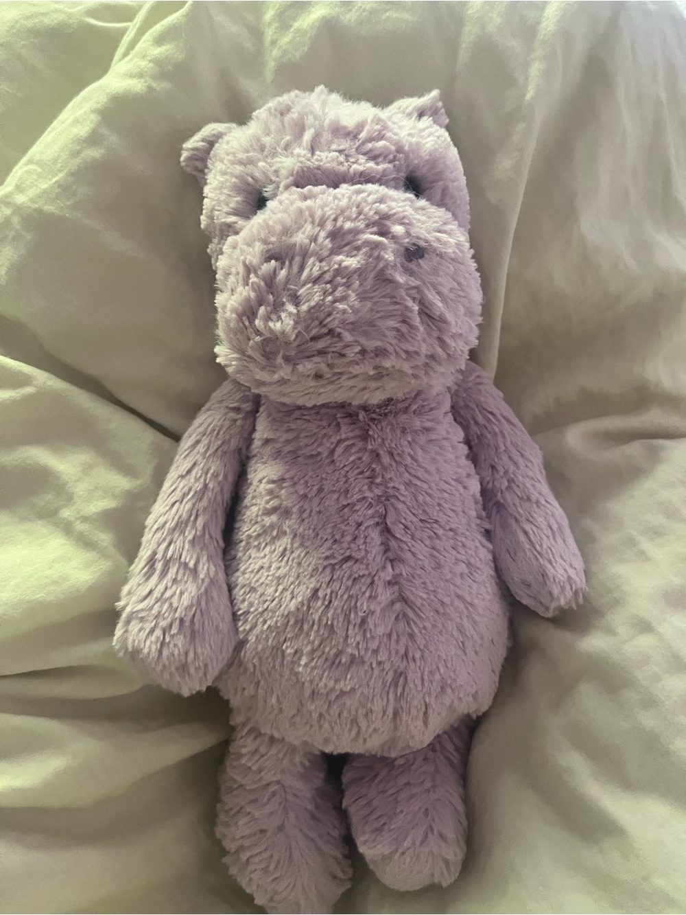 Jellycat medium bashful Hippo